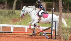 Foto de la galería: El futuro de la equitación, en un certamen de primer nivel