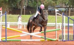 Foto de la galería: El futuro de la equitación, en un certamen de primer nivel
