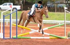 Foto de la galería: El futuro de la equitación, en un certamen de primer nivel