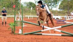 Foto de la galería: El futuro de la equitación, en un certamen de primer nivel
