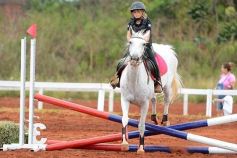 Foto de la galería: El futuro de la equitación, en un certamen de primer nivel