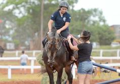 Foto de la galería: El futuro de la equitación, en un certamen de primer nivel
