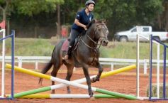 Foto de la galería: El futuro de la equitación, en un certamen de primer nivel