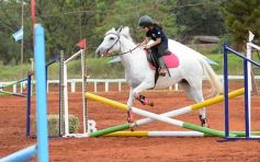 Foto de la galería: El futuro de la equitación, en un certamen de primer nivel