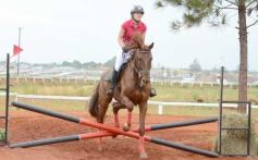 Foto de la galería: El futuro de la equitación, en un certamen de primer nivel