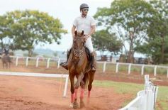 Foto de la galería: El futuro de la equitación, en un certamen de primer nivel