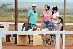 Foto de la galería: El futuro de la equitación, en un certamen de primer nivel