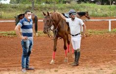 Foto de la galería: El futuro de la equitación, en un certamen de primer nivel