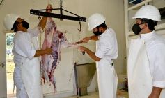 Sixto Fotografías. Sociedad. Sociedad Rural Misiones - Se puso en marcha el Frigorífico Municipal de San José para la faena de animales pequeños