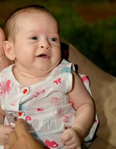 Foto de la galería: Registros de la Noche Buena y del 31 de diciembre