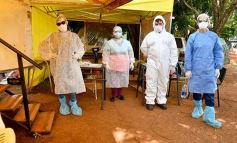 Foto de la galería: Ingreso a Misiones: continúan con los controles sanitarios