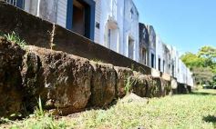Foto de la galería: Cementerio La Piedad: conociendo un patrimonio local