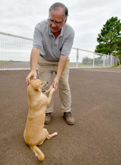 Foto de la galería: Víctor Mejalenko, una historia de alto vuelo