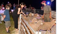 Foto de la galería: Satisfactorio remate en San José