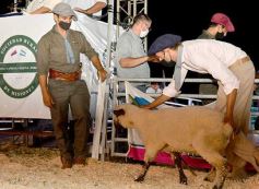 Foto de la galería: Satisfactorio remate en San José