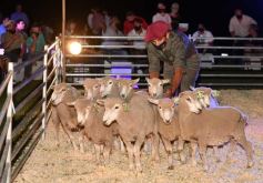Foto de la galería: Satisfactorio remate en San José