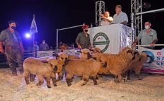 Foto de la galería: Satisfactorio remate en San José