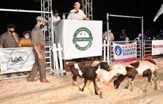 Foto de la galería: Satisfactorio remate en San José