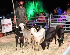 Foto de la galería: Satisfactorio remate en San José