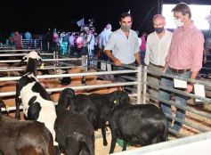 Foto de la galería: Satisfactorio remate en San José