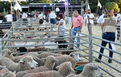 Foto de la galería: Satisfactorio remate en San José