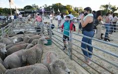Foto de la galería: Satisfactorio remate en San José
