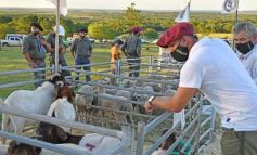 Foto de la galería: Satisfactorio remate en San José