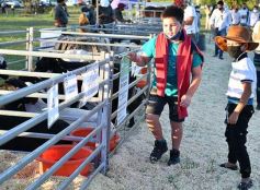 Foto de la galería: Satisfactorio remate en San José