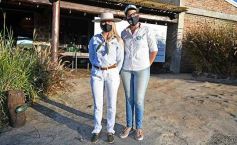 Foto de la galería: Satisfactorio remate en San José