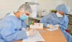 Foto de la galería: Misiones mantiene los controles sanitarios en sus ingresos