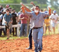 Foto de la galería: Volvió el turf al hipódromo de Posadas