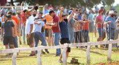 Foto de la galería: Volvió el turf al hipódromo de Posadas