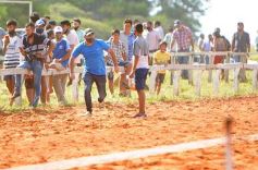 Foto de la galería: Volvió el turf al hipódromo de Posadas