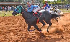 Foto de la galería: Volvió el turf al hipódromo de Posadas