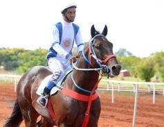 Foto de la galería: Volvió el turf al hipódromo de Posadas