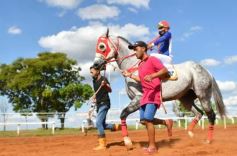 Foto de la galería: Volvió el turf al hipódromo de Posadas
