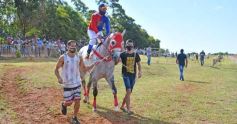 Foto de la galería: Volvió el turf al hipódromo de Posadas