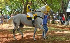 Foto de la galería: Volvió el turf al hipódromo de Posadas