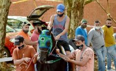 Foto de la galería: Volvió el turf al hipódromo de Posadas