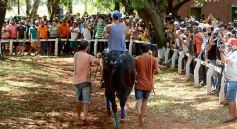 Foto de la galería: Volvió el turf al hipódromo de Posadas
