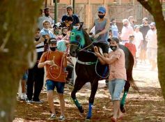 Foto de la galería: Volvió el turf al hipódromo de Posadas