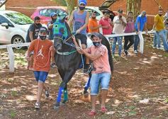 Foto de la galería: Volvió el turf al hipódromo de Posadas
