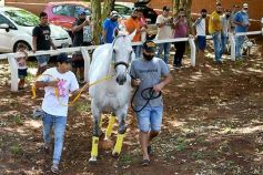 Foto de la galería: Volvió el turf al hipódromo de Posadas