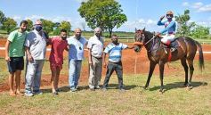 Foto de la galería: Volvió el turf al hipódromo de Posadas
