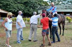 Foto de la galería: Volvió el turf al hipódromo de Posadas
