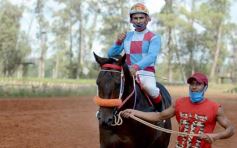 Foto de la galería: Volvió el turf al hipódromo de Posadas