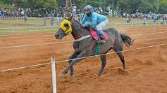 Foto de la galería: Volvió el turf al hipódromo de Posadas