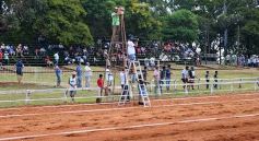 Foto de la galería: Volvió el turf al hipódromo de Posadas