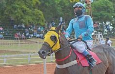 Foto de la galería: Volvió el turf al hipódromo de Posadas