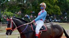 Foto de la galería: Volvió el turf al hipódromo de Posadas